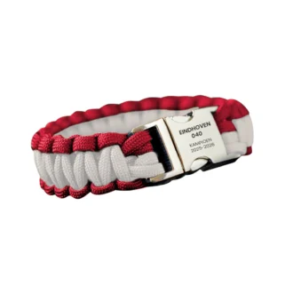 PSV kampioen 2025-2026