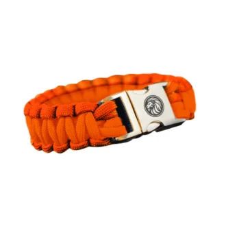 Nederlandse leeuw oranje